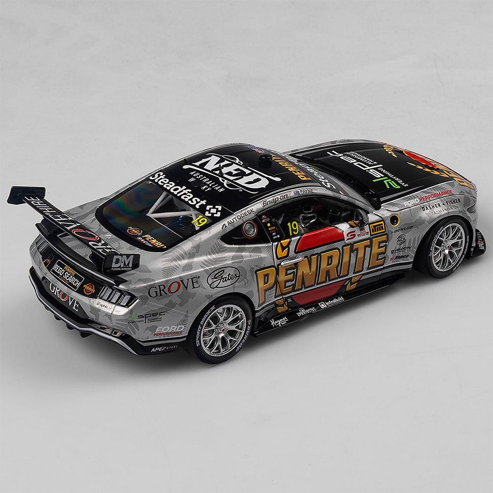 Thumbnail: Penrite Racing #19 Matt Payne - 2024 ITM Taupō Super400 Native Livery