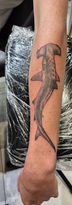 Tattoo Maitland