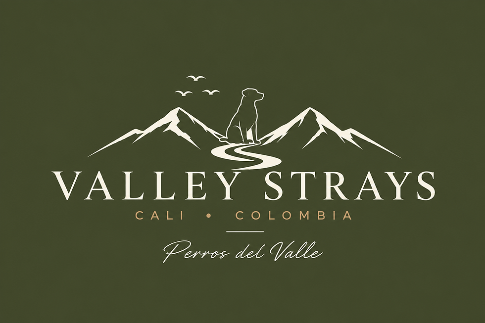 Valley Strays Logo