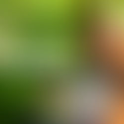 Terry McMillan Presents: Forever Review: Taye Diggs & Meagan Good in a Love Story That's Too Real