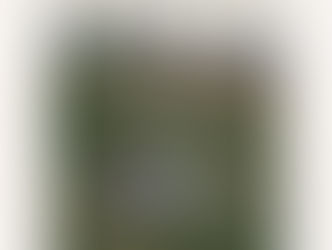 Sundance Film Festival 2026: Praise Odigie's “Birdie” is a Quiet Portrait of Refugee Grief