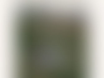 Sundance Film Festival 2026: Praise Odigie's “Birdie” is a Quiet Portrait of Refugee Grief