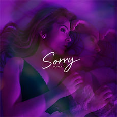 FINAL COVER ART SORRY 550px.jpg