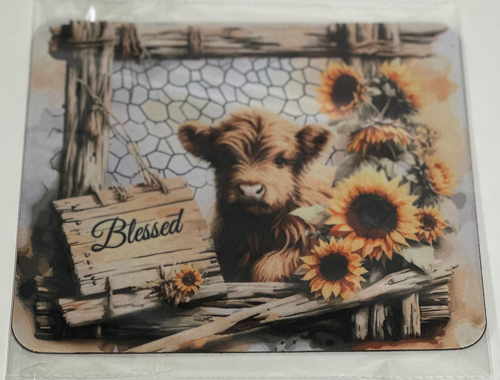 Thumbnail: PRODUCT PHOTO