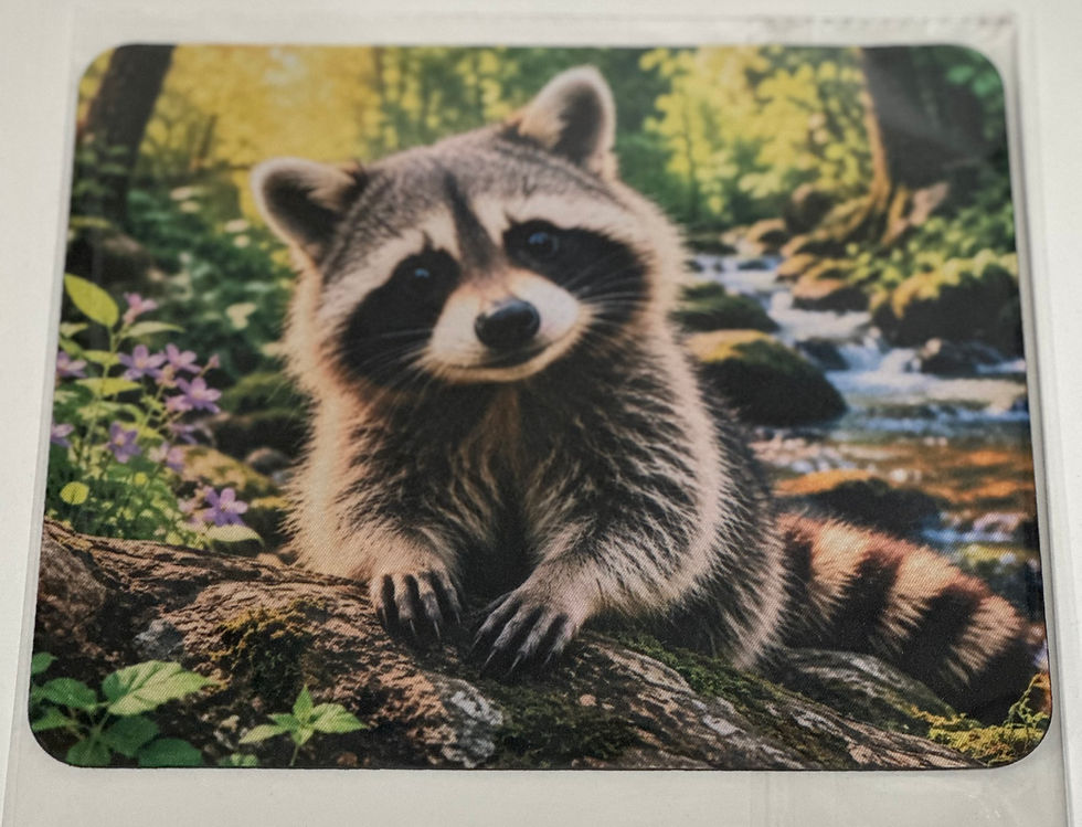 Thumbnail: PRODUCT PHOTO