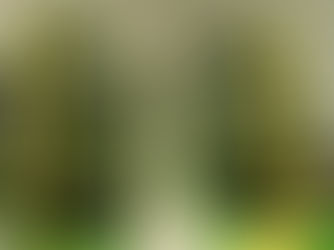 New Study Shows Fulvic Acid Accelerates Cannabis Growth Without Sacrificing Potency