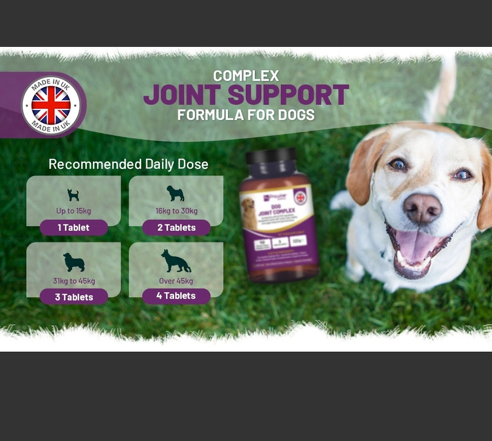 Thumbnail: Dog Joint complex