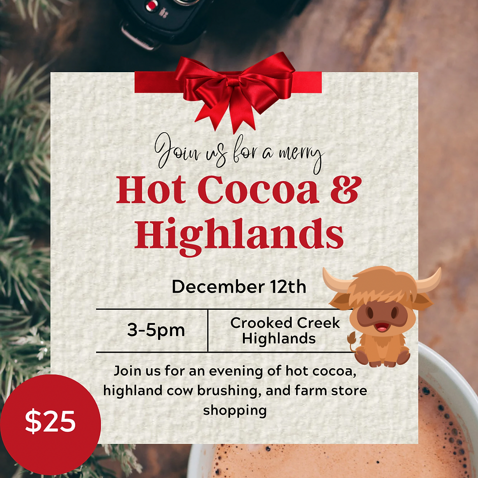 Hot Cocoa & Highlands