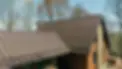 DJI_0125.webp