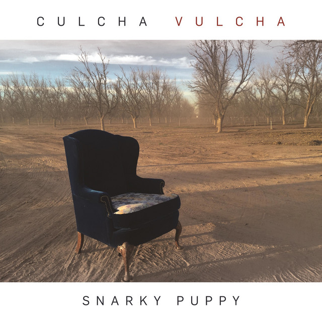 Snarky Puppy - Culcha Vulcha.jpg