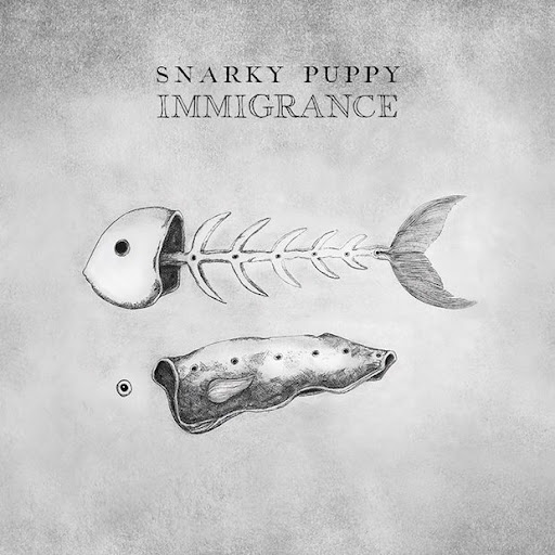 Snarky Puppy - Immigrance.jpg