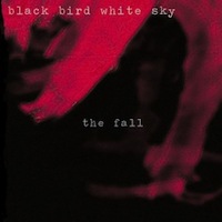 thefall.jpg