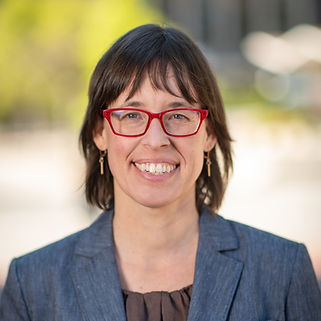 Head shot of ANN CLEAVELAND