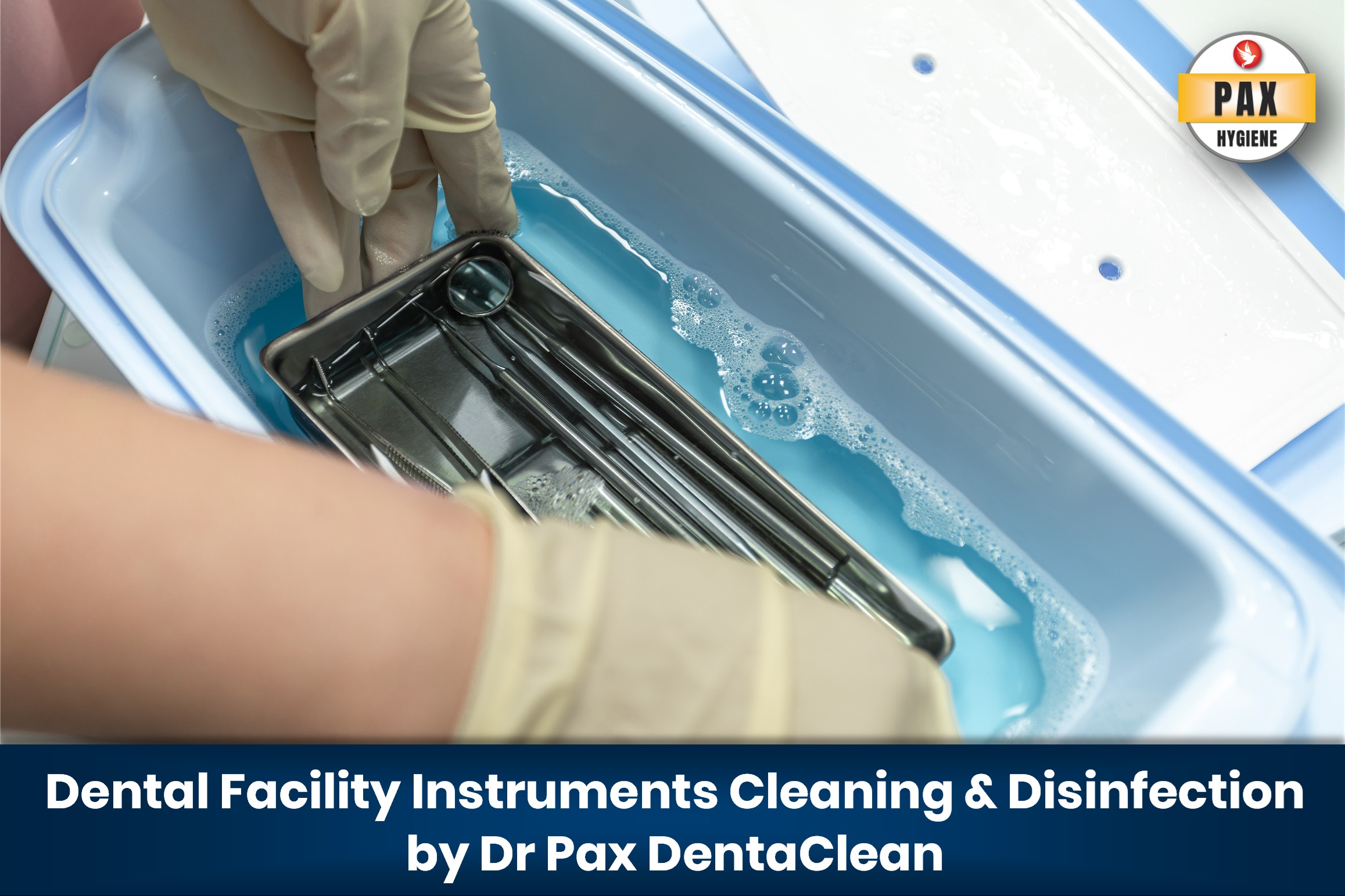 Dr Pax DentaClean solution with dental instruments including burs, handpieces, and surgical tools immersed in a pre-sterilization bath.
