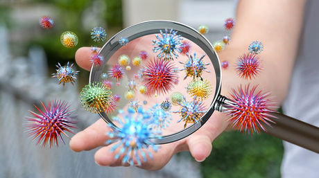 What are "Germs" or "Micro-organisms"??