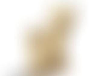 Predicting the 2024 NBA Championship: A Clash of Titans