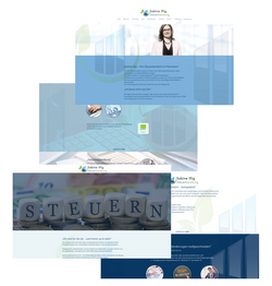 Webpage/Internetauftritt Steuerberatung