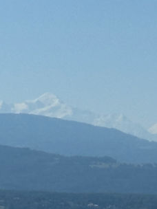 IMG_5780.jpeg