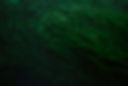 algae.jpeg