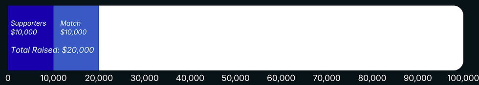 Fundraising Update Bar.png