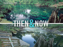 then and now peacock.moran.kn.jpeg