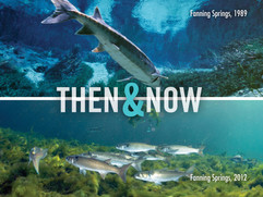 then and now fanning.moran.kn.jpeg