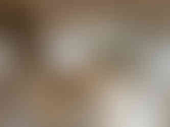 リビング|熊本市南区で新築注文住宅を建てるならペンギンホーム