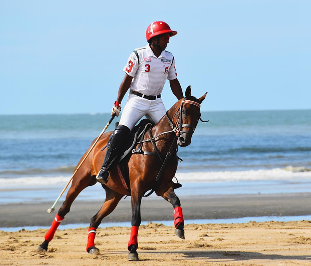 Partnership A Distinguished Polo Collaboration