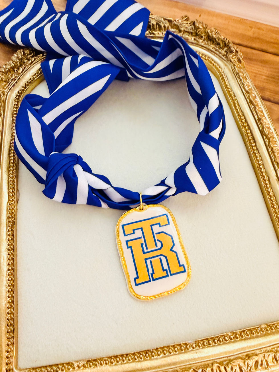 TR - Distressed Clay Medallion, Twilly Scarf Necklace