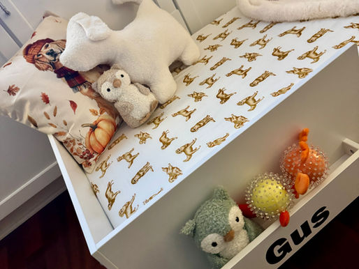 🎀 A Cautionary Tale from the Pink Bow Studio