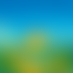 Invertir en el conocimiento: Por qué la academia necesita más que reconocimiento para transformar los estándares del desarrollo