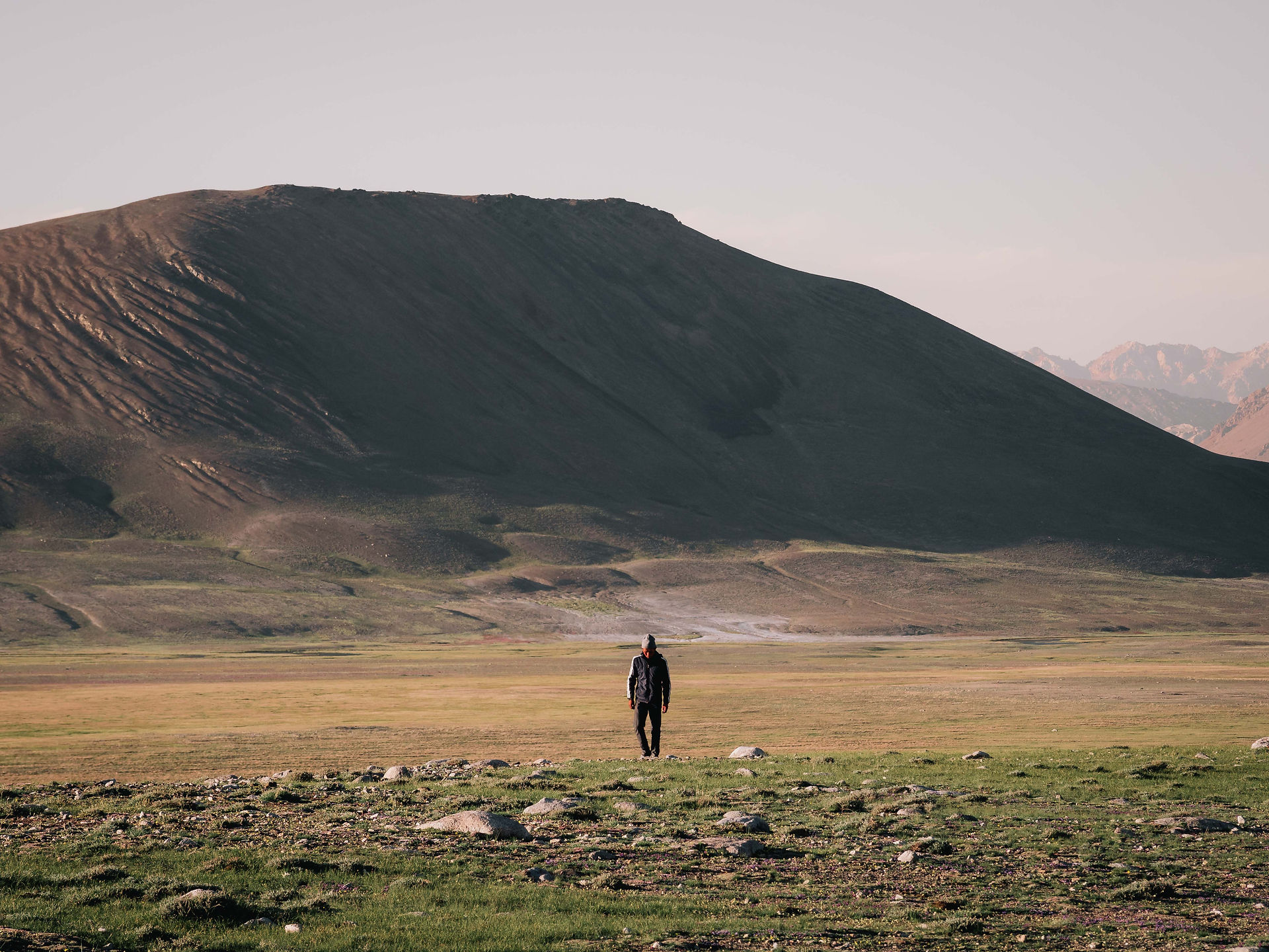 Afternoon Strolls (Matt Horspool)