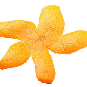 Investing in Valorization Pathways for the Agri-food Industry