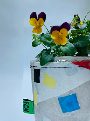 María de la Paz Corominas Alvarado