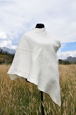 María Laura Sánchez Goette