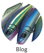 BlogImageButton.gif