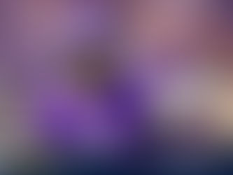 McCarthy's Roller Coaster Debut Culminates in Improbable Vikings Comeback