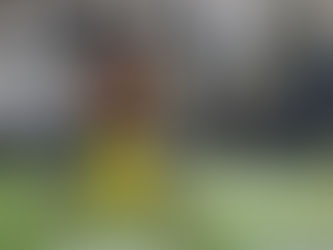 Commanders' Jayden Daniels Ruled Out, Marcus Mariota to Start Against Raiders