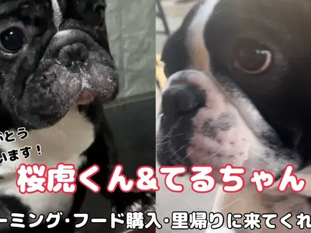 グルーミングと里帰り動画💖