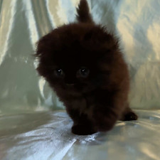 4A023CC3-E397-448B-831F-71E65899A69D_edi