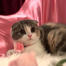 S__39411716_0_edited_edited.jpg