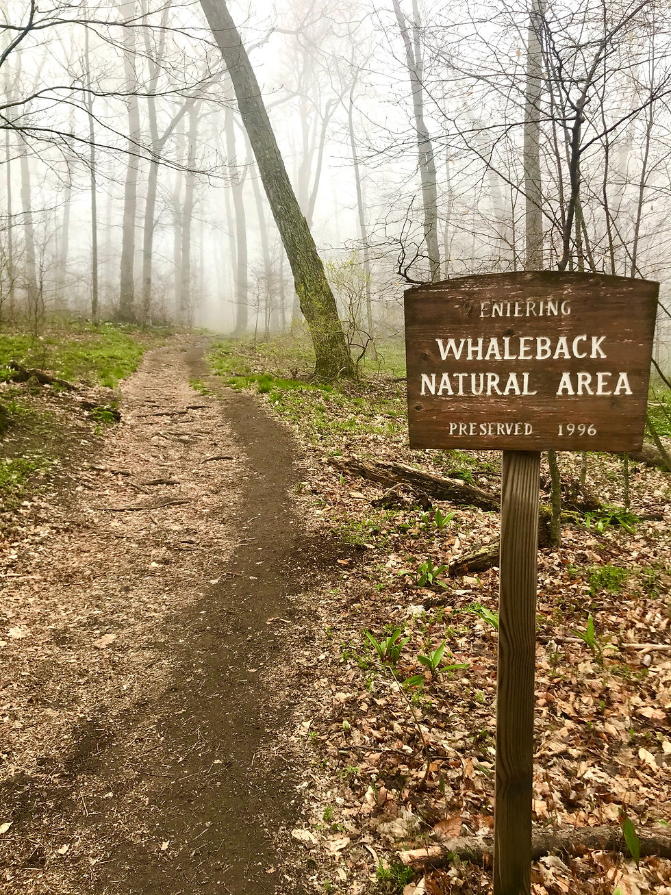 Whaleback Natural Area Hiking Trail