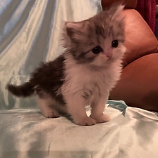 3D824C38-D668-499D-A1AA-3186D4B57182_edi