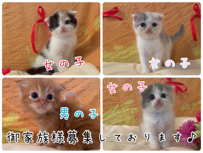 目がクリクリ4兄妹！♥