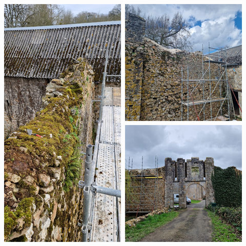 Reprise de maçonnerie sur la tête de mur avec enlèvement des mousse et autres végétaux suivi de la pose d'un glacis.