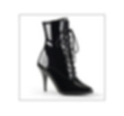 Pleaser Shoes