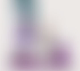 Gefu Super Food Promotion