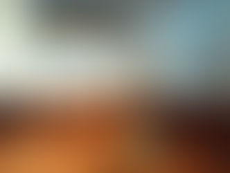 クラッシックな趣が魅力 真鍮ライト 家具・デザインアイテムの買取 PLANtR