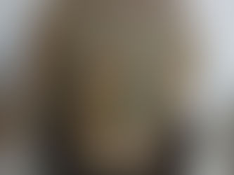 気球型の多肉植物 EuphorbiaObesaユーフォルビア・オベサ 観葉植物の無料引取り PLANtR 植物の再利用