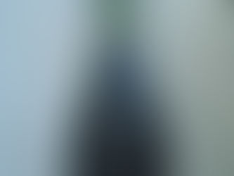 先端恐怖症の方はお気を付けください ストレリチア・ノンリーフ 観葉植物の無料引取り PLANtRプラントル 植物の再利用